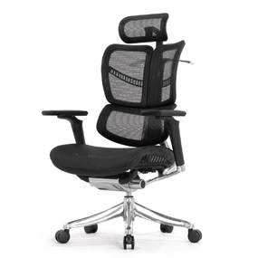 Анатомическое кресло Falto Fly 2 (динамичный подголовник, подлокотники 6D (360), сетка, чёрный)