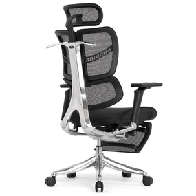 Анатомическое кресло Falto Fly 2 с подножкой (динамичный подголовник, подлокотники 6D (360), сетка, чёрный)