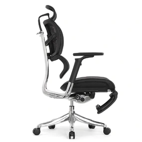 Анатомическое кресло Falto Fly 2 с подножкой (динамичный подголовник, подлокотники 6D (360), сетка, чёрный)