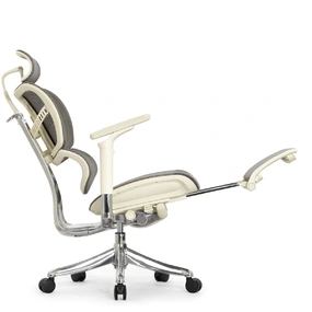 Анатомическое кресло Falto Fly 2 с подножкой (динамичный подголовник, подлокотники 6D (360), сетка, светлый)